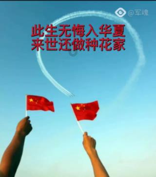 88影视