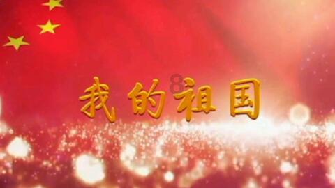 春雨直播app