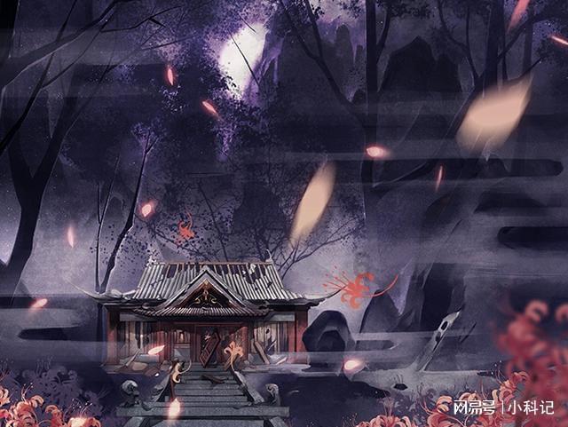 春雨直播app