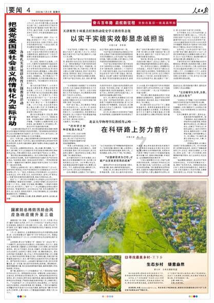 可爱小猫向上跳