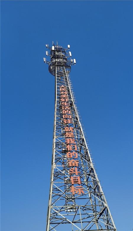 适量饮用枸杞子泡水可以帮助男性缓解这些症状,提高生活质量