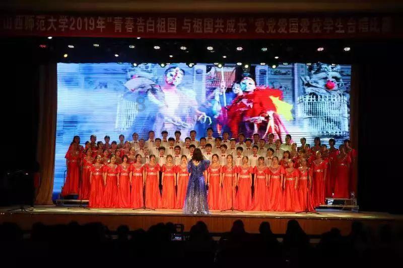 五彩鹦鹉救援