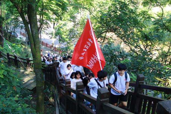 虎胆熊威2中文版