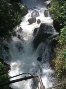 召唤神龙万宁版祖龙
