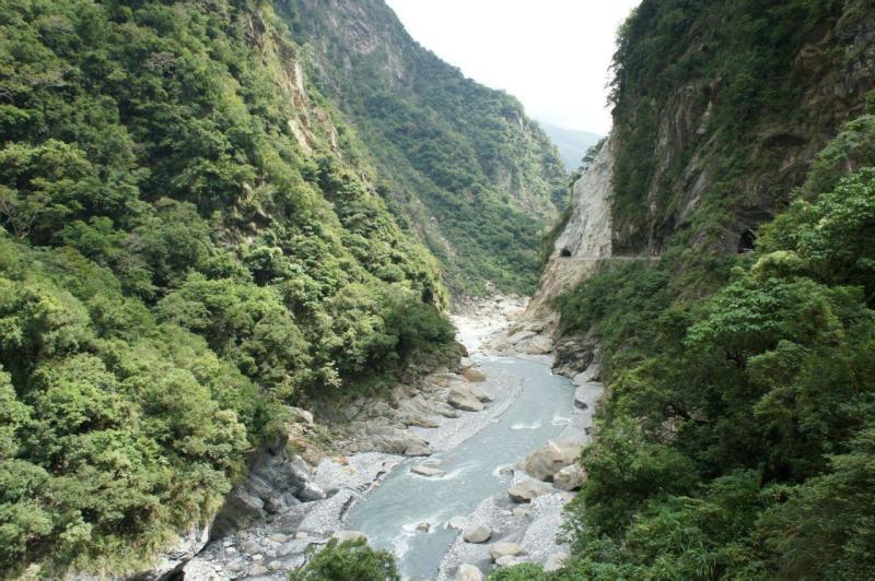 逃离制药厂