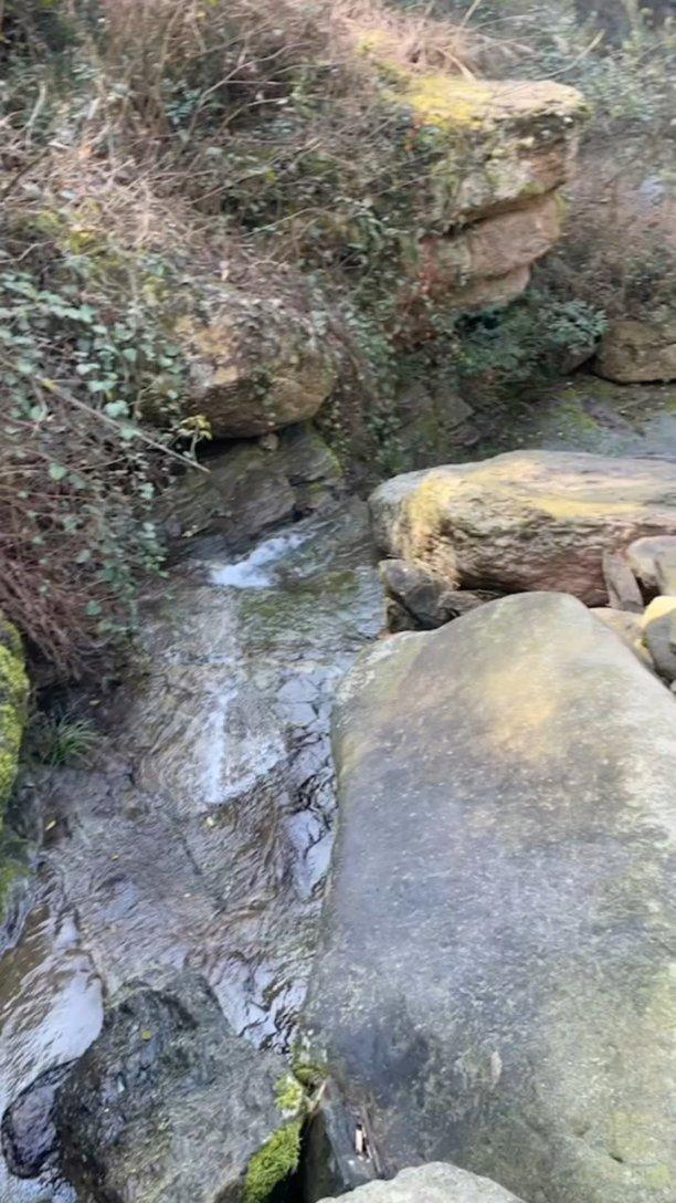 小猫钓鱼开船版最新版下载