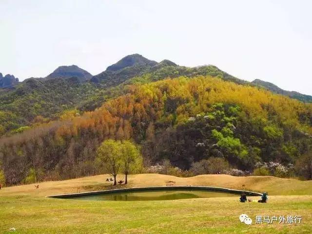 沪江开心词场