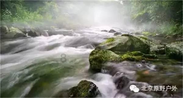 洛克王国