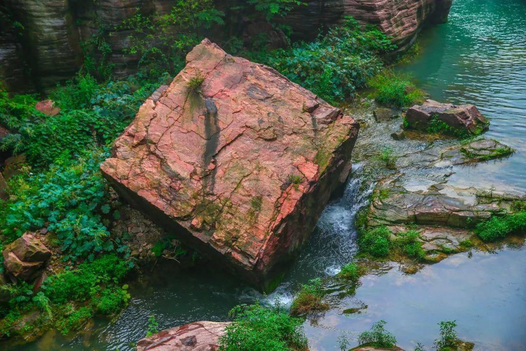 莫雷岛逃脱