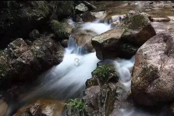 虫虫助手下载