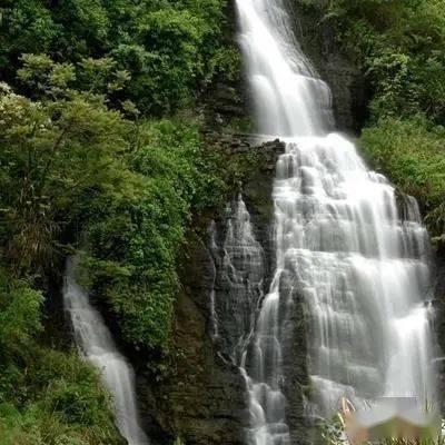 全民剧本大师内置菜单