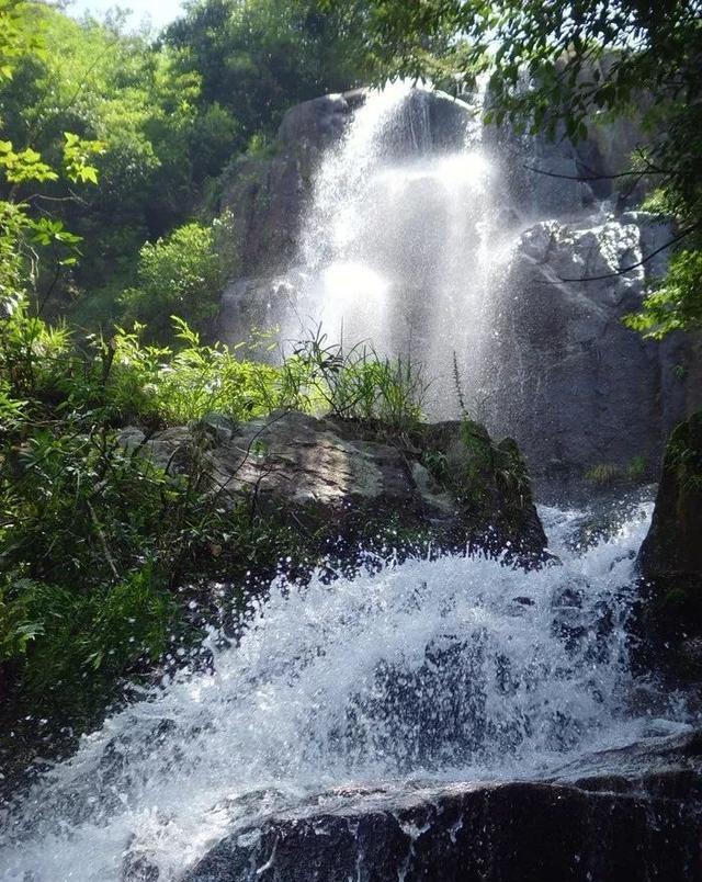 淘气兔救援