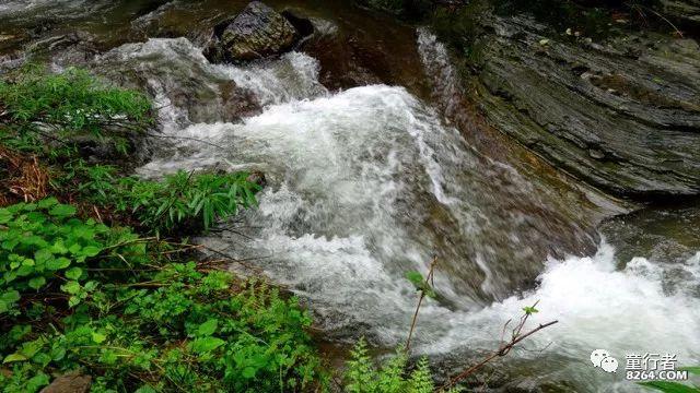 沪江开心词场
