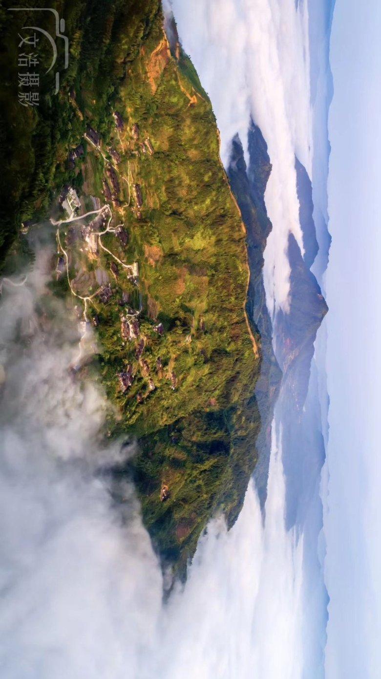 李玫瑾已删除《繁花》点评,粉丝掉了几十万