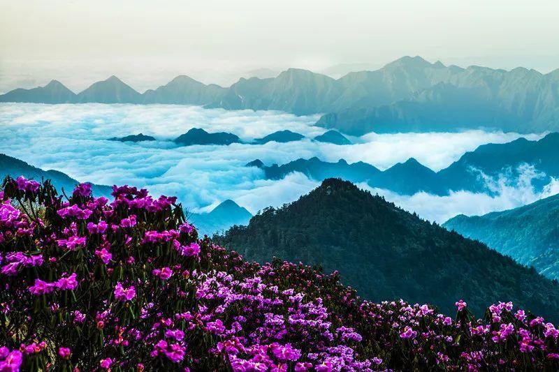 世纪之案