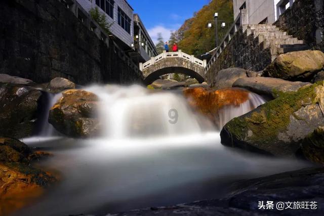 智能问答网页考驾照难不难呀?,快速解答你的问题【考驾照难不难呀?】