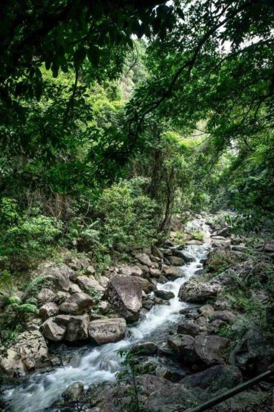 虫虫助手下载