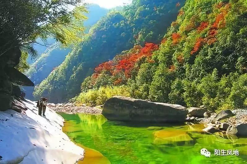 小托马斯和内特-罗宾逊谁才是你心目中的那个最强175?