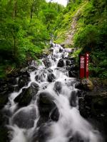 四川成都地陪一般多少一天，四川成都私人导游联系方式