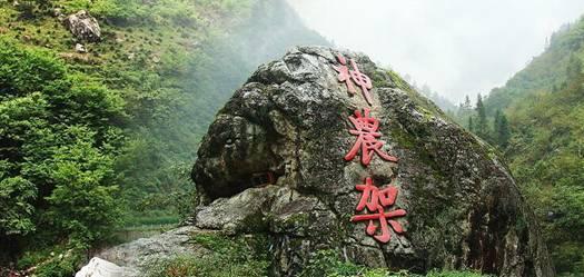 全球驾:P7和P7i的差别就是一个字母i吗?