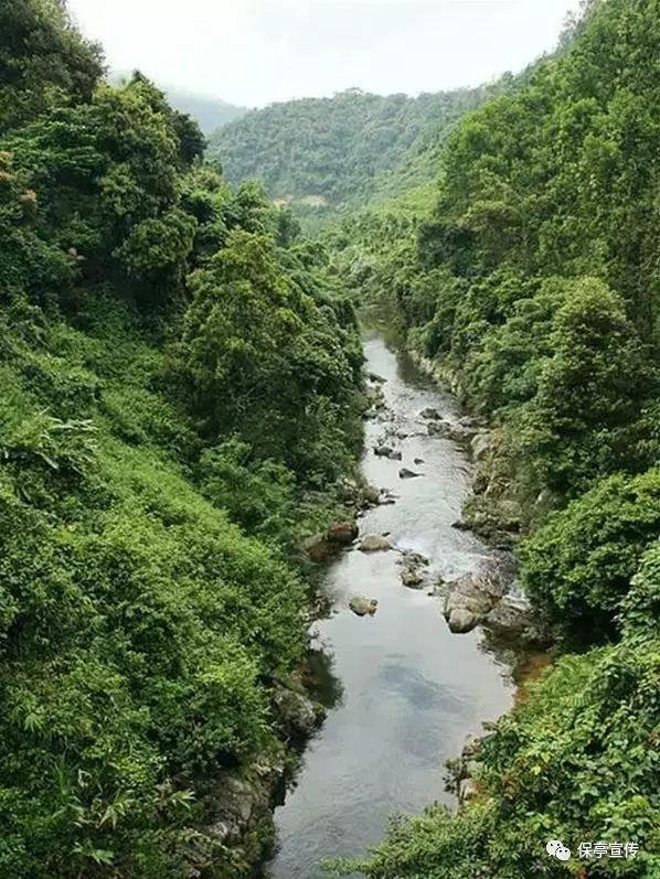 救援小绿龙