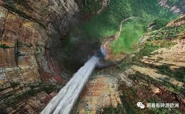 梦幻糖果森林逃生