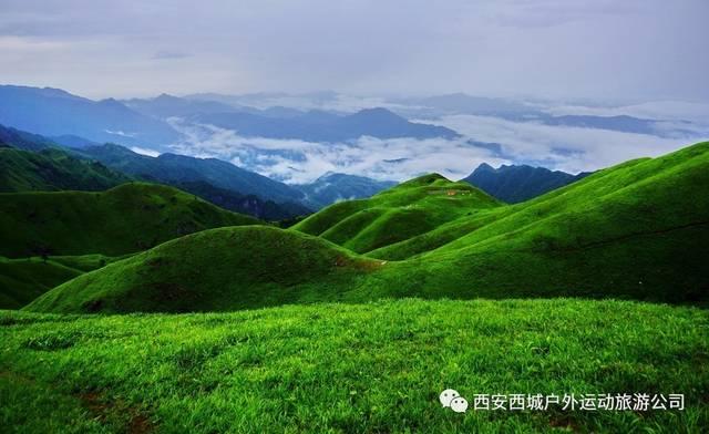 酸味药效竟然可以解决这些常见问题，你知道吗？