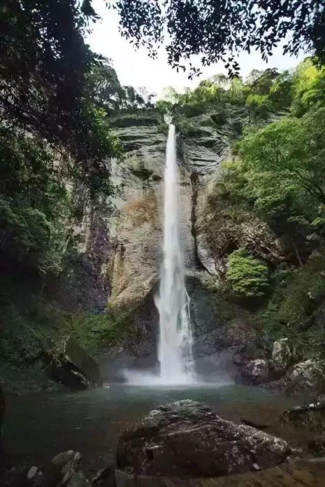 逃离月日森林