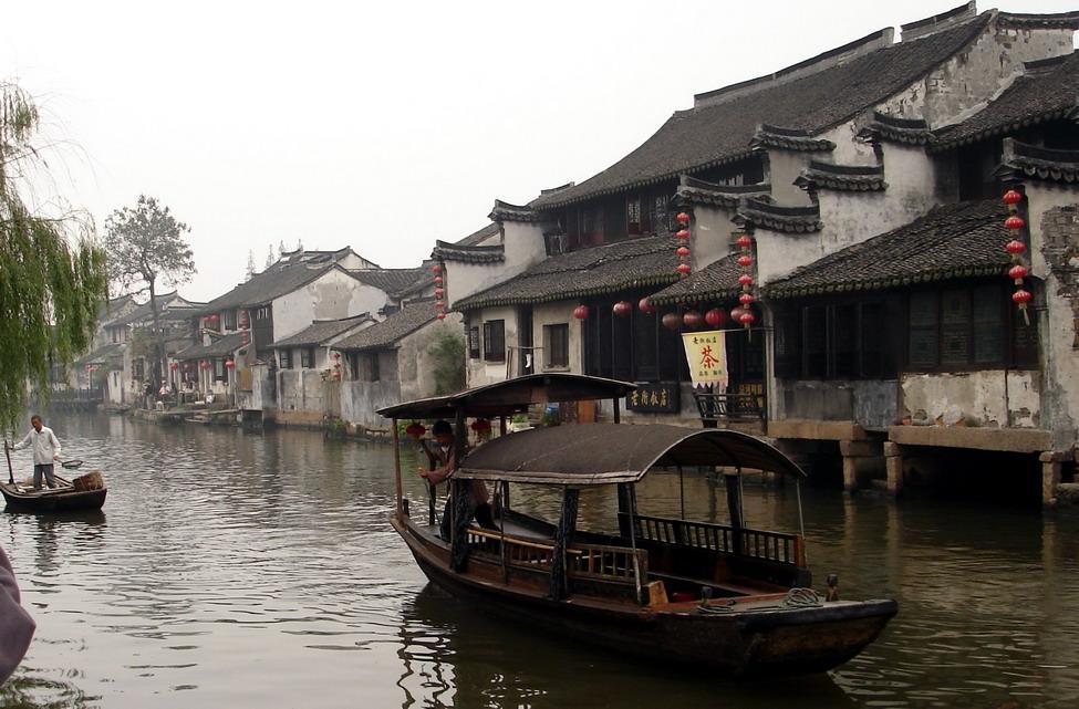 泡沫森林