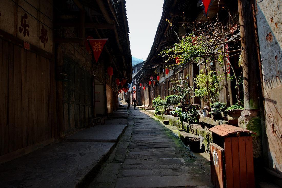 春季带孩子旅游需要注意什么？游戏画面