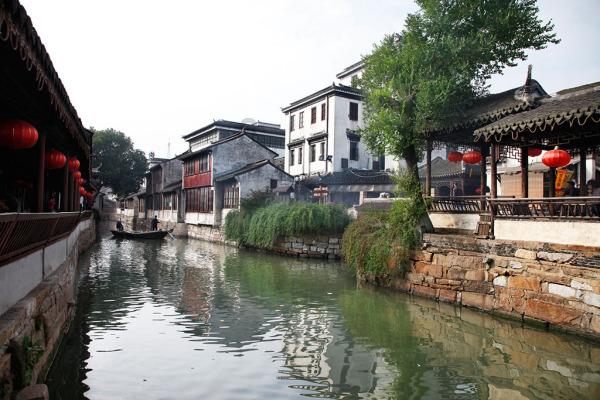 动物帮帮忙保卫家园