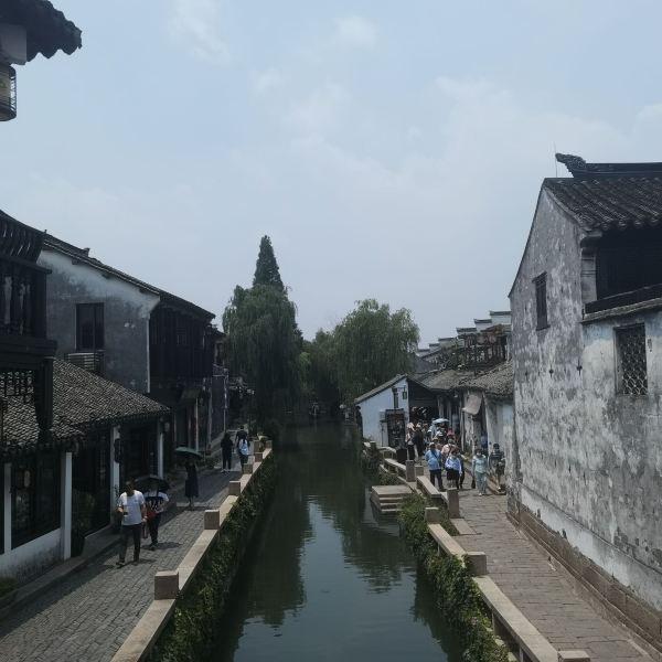 救援七星瓢虫