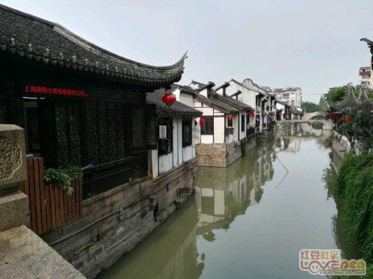 微波炉加热用什么容器？游戏画面