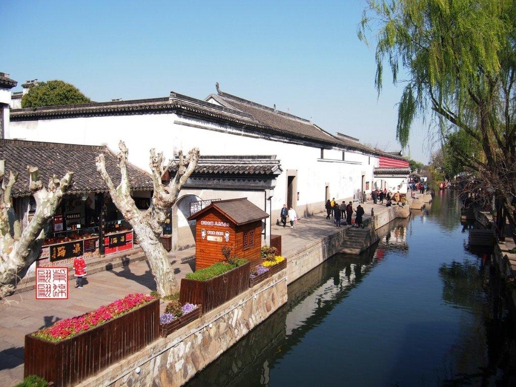 动物帮帮忙保卫家园