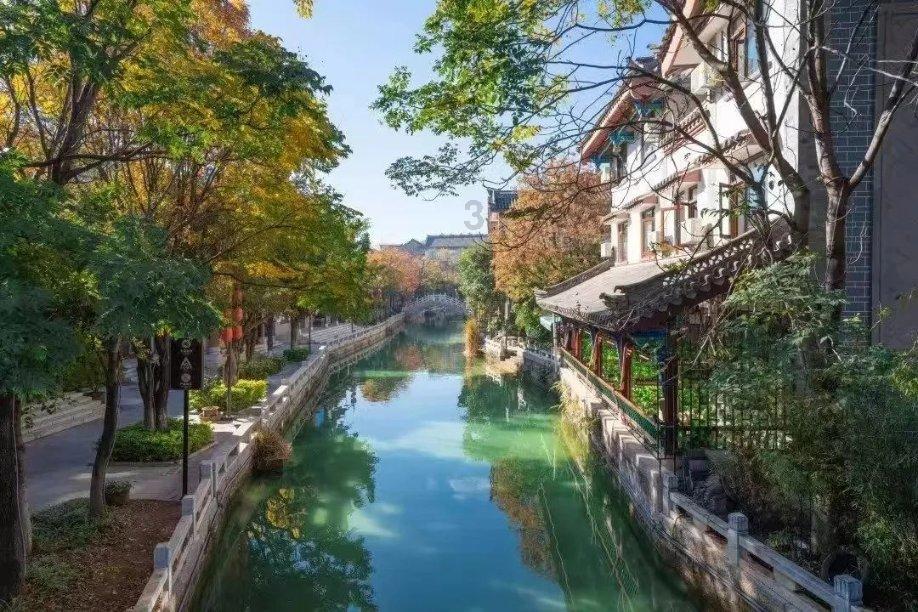 春雨直播app