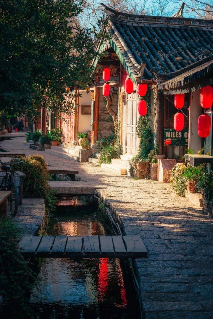 鸡蹬子油有卖的吗？游戏画面