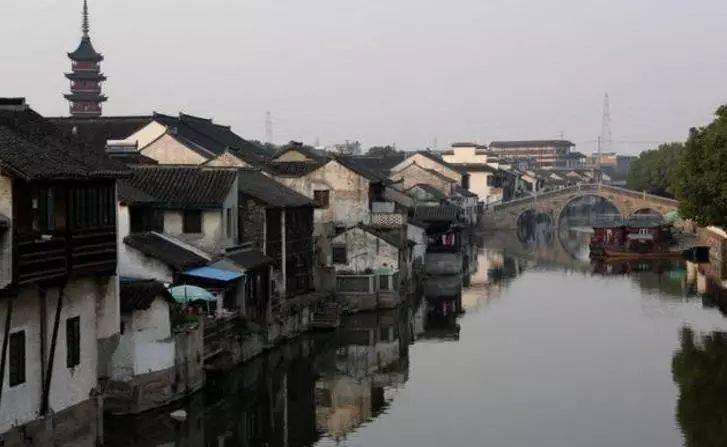 上班后晋升“土圆肥”？午休时用“它”泡水喝，燃脂刮油，降体重