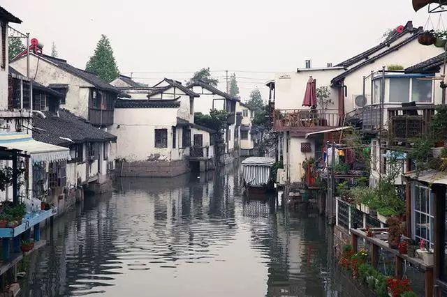 春雨直播app