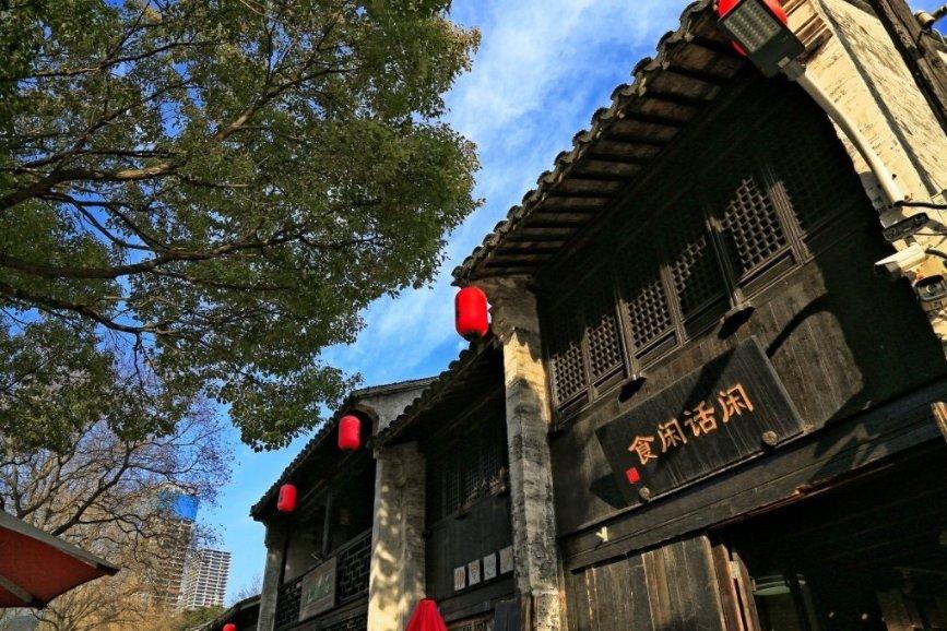 救援受困的小野猫