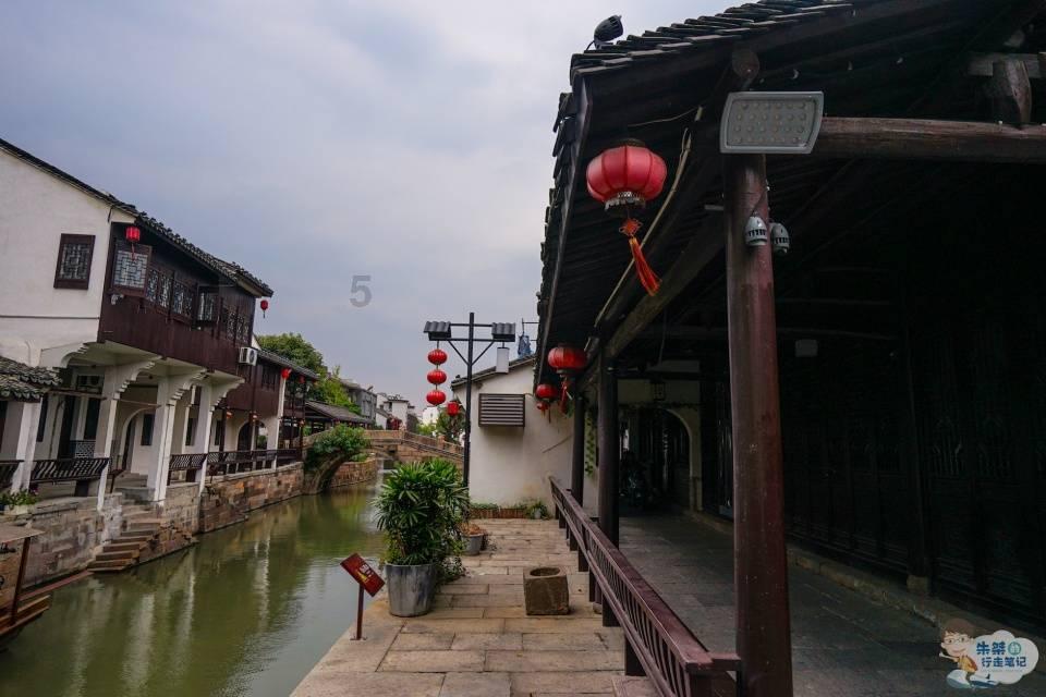 跨湖桥人在8000年前,竟然就已经开始喂养家猪了,真是养殖达人!