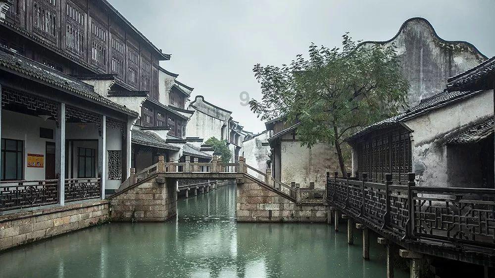 小猫钓鱼正版下载中文版