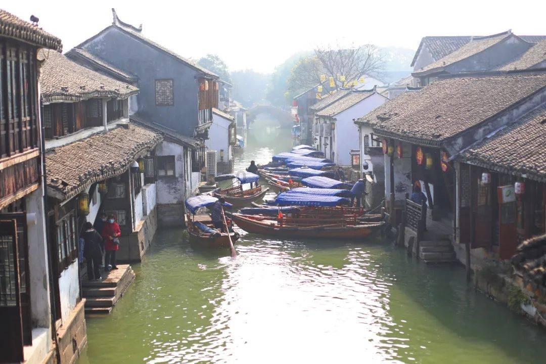 救援卡通小象
