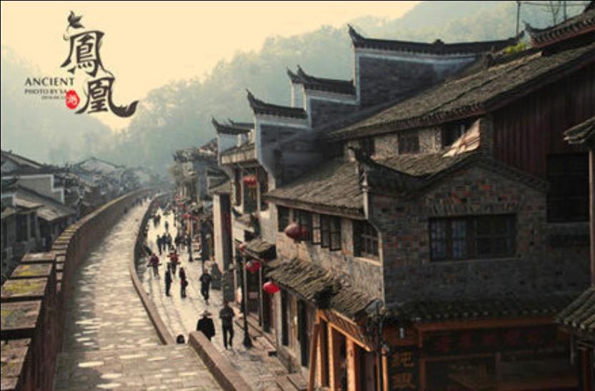 春雨直播app